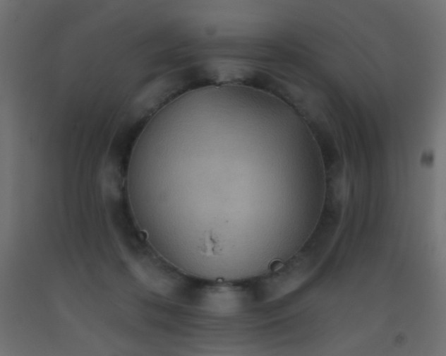 X0000093520316200710121550