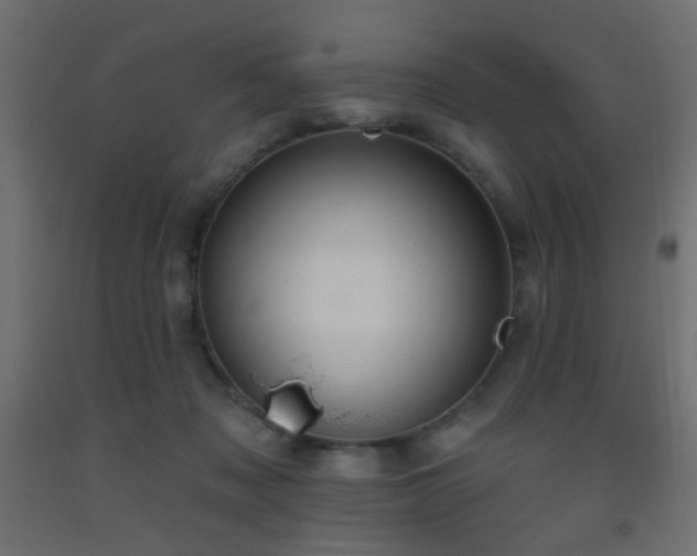 X0000093520317200710121550