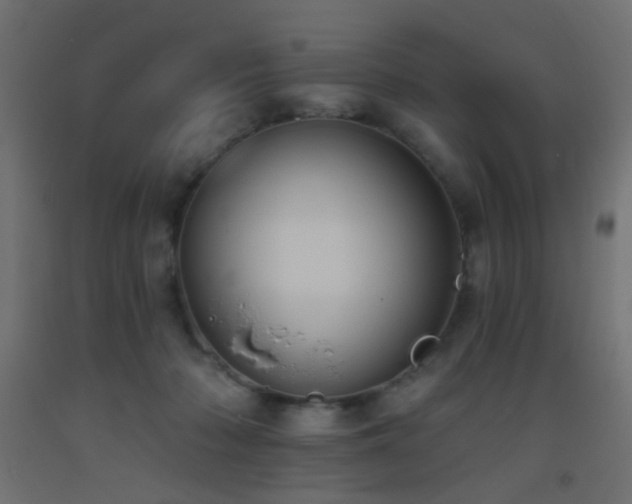 X0000093520318200710121550