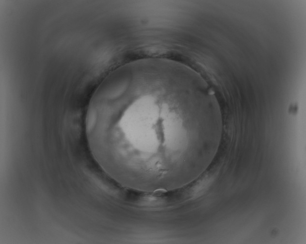X0000093520319200710121550