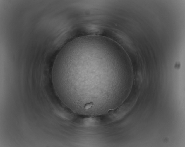 X0000093520320200710121550