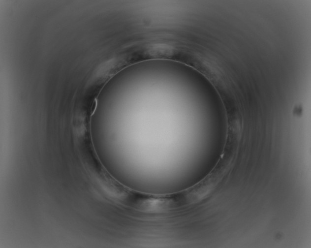 X0000093520323200710121550