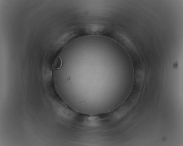 X0000093520324200710121550