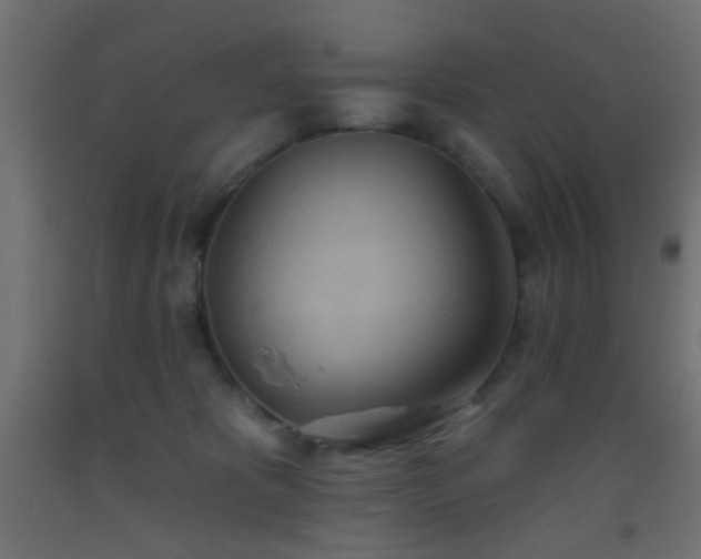 X0000093520325200710121550