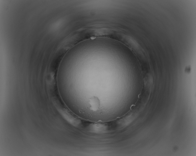 X0000093520327200710121550