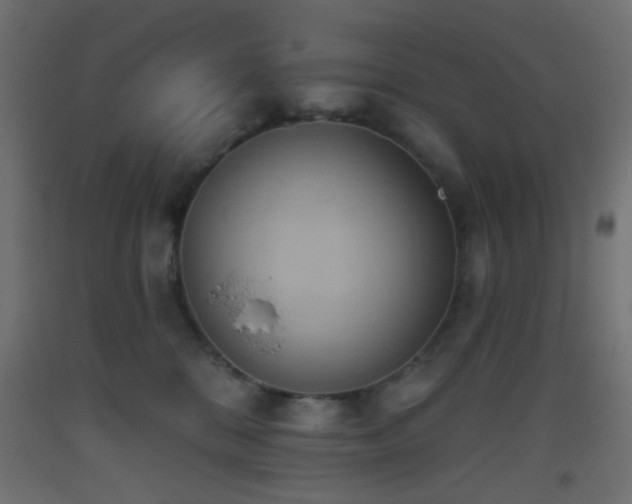X0000093520328200710121550