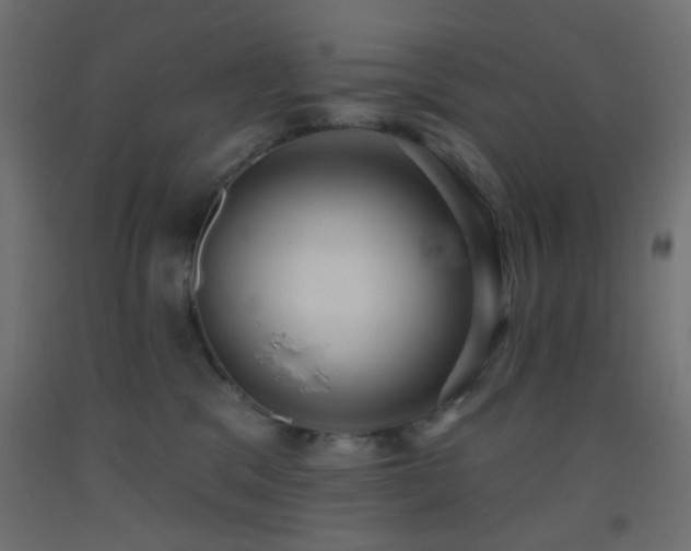 X0000093520329200710121550