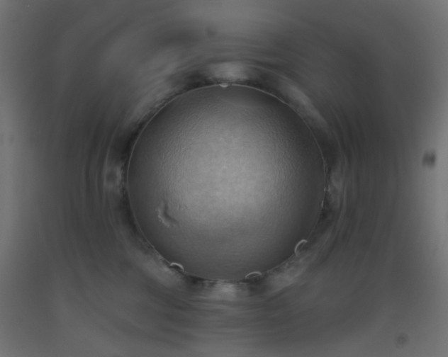 X0000093520330200710121550