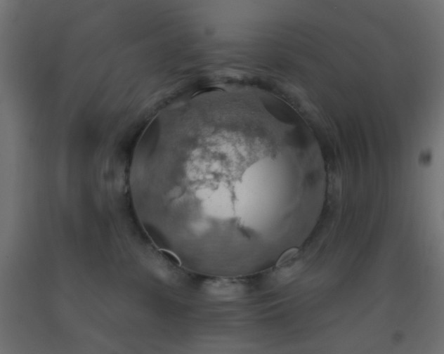 X0000093520331200710121550