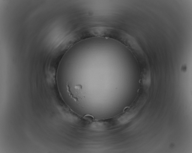 X0000093520332200710121549