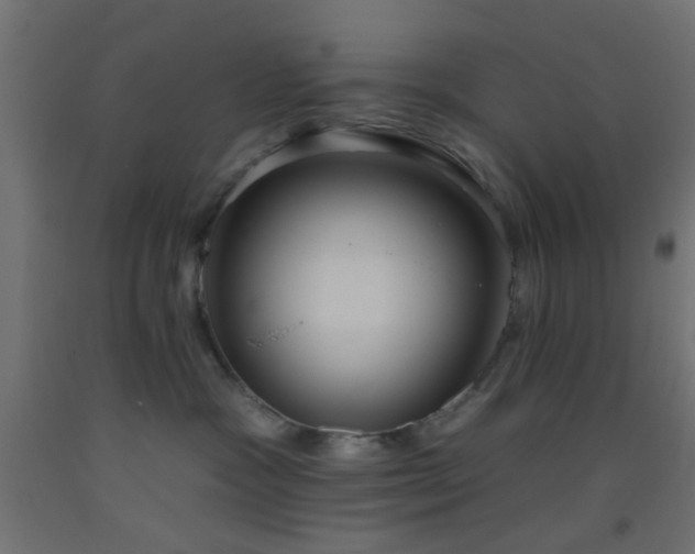 X0000093520333200710121549