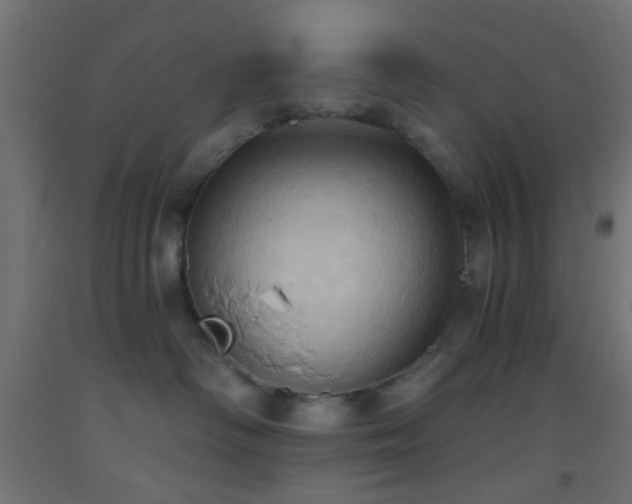 X0000093520334200710121549