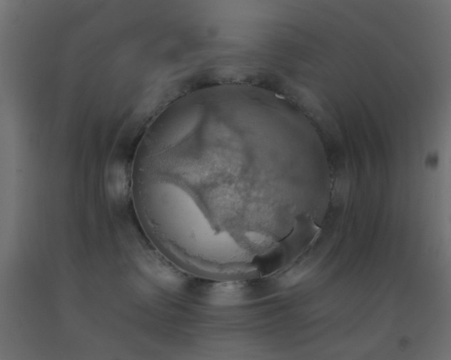X0000093520335200710121549