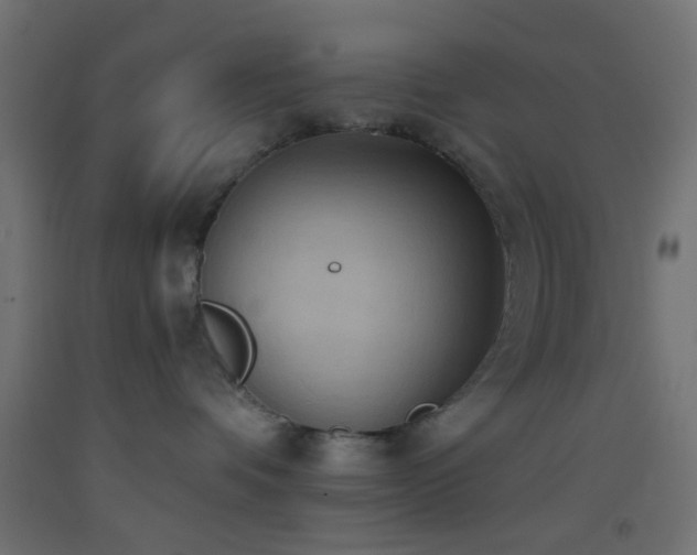 X0000093520336200710121549