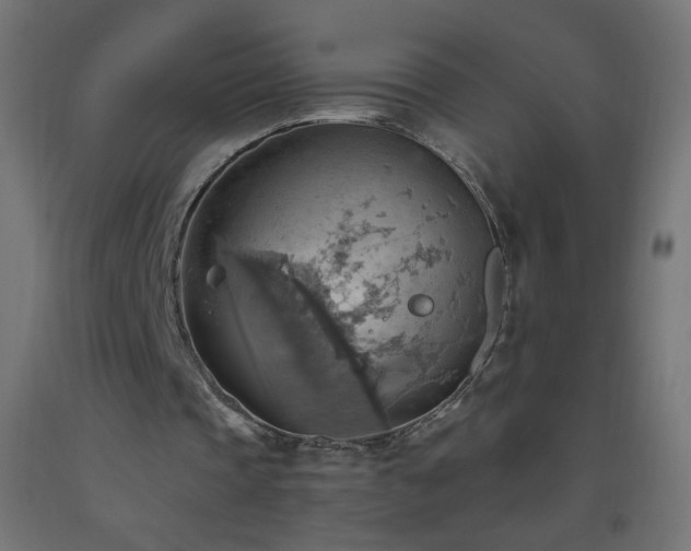 X0000093520337200710121549