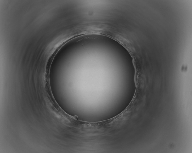X0000093520338200710121549