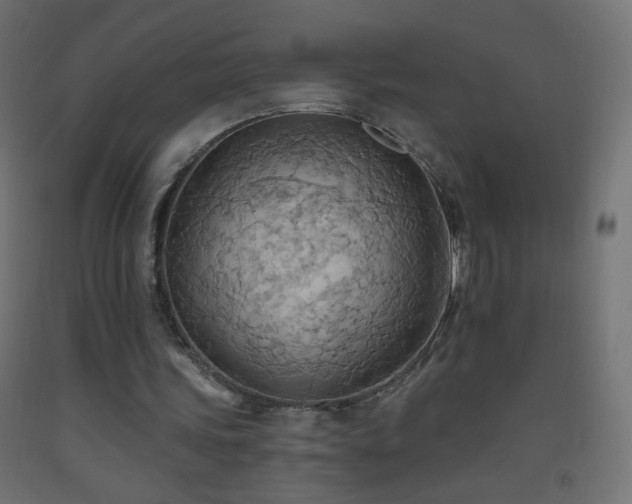 X0000093520339200710121549
