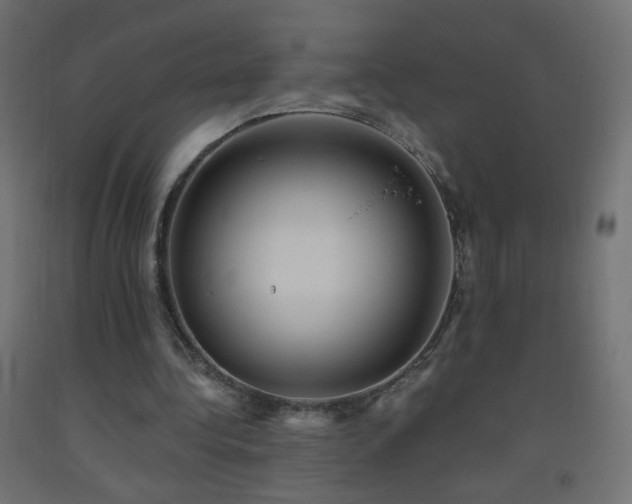 X0000093520340200710121549
