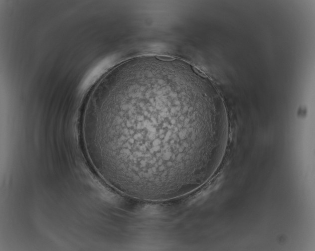 X0000093520341200710121549