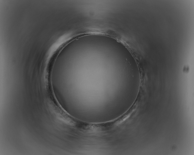 X0000093520343200710121549