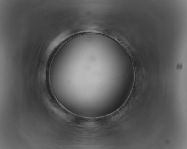 X0000093520344200710121549