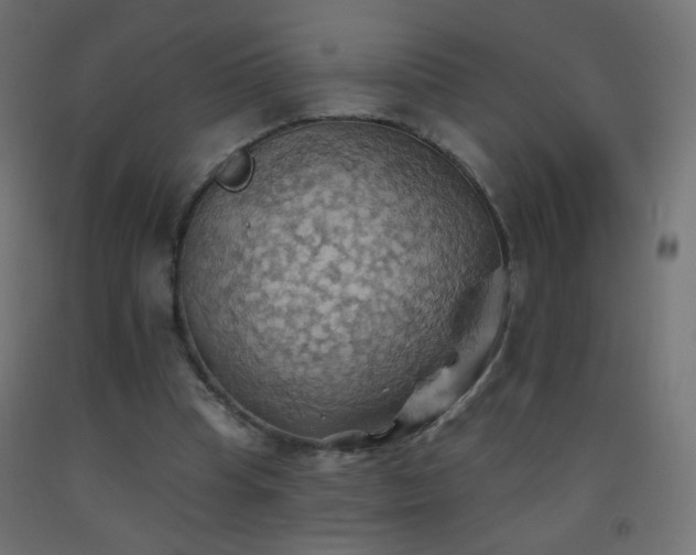X0000093520345200710121549