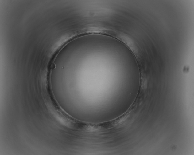 X0000093520346200710121549