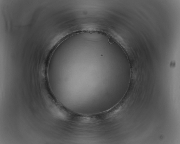 X0000093520347200710121549