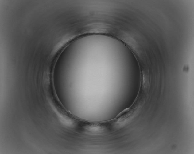 X0000093520348200710121549