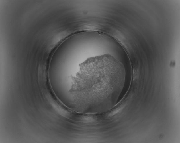 X0000093520349200710121549