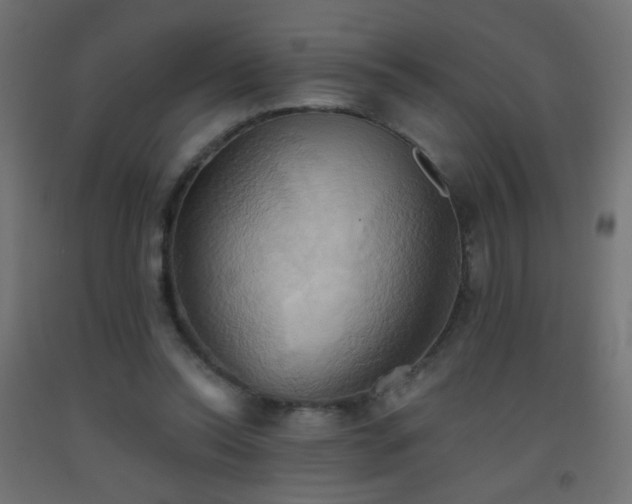 X0000093520350200710121549