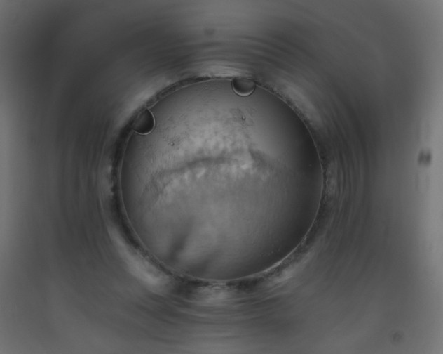 X0000093520351200710121549