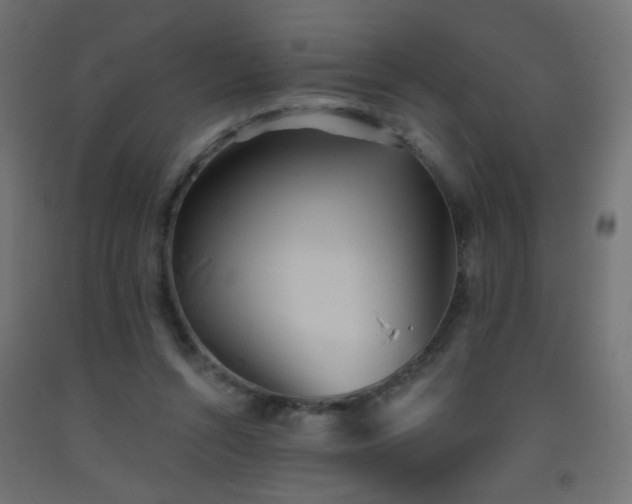 X0000093520352200710121549