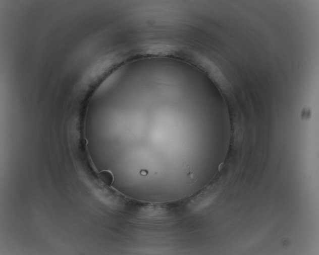 X0000093520354200710121549
