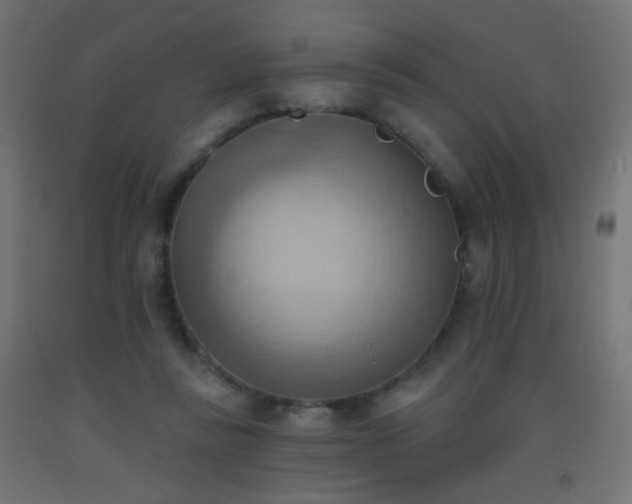 X0000093520355200710121549