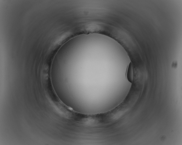 X0000093520356200710121549