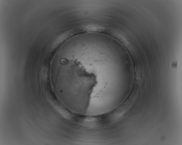X0000093520357200710121549