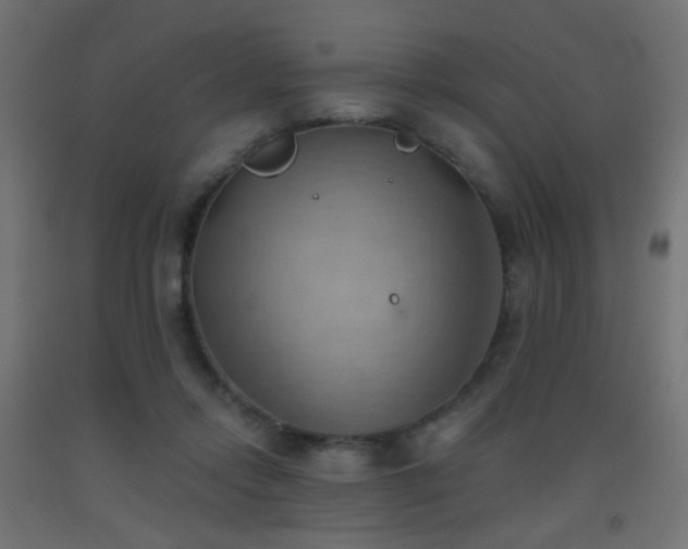 X0000093520358200710121549