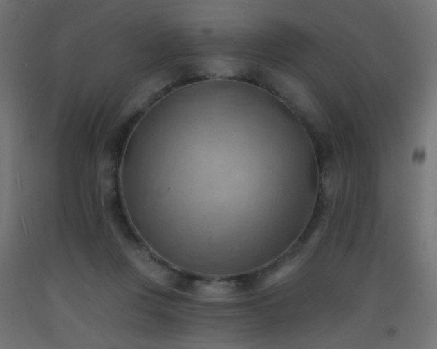 X0000093520359200710121549
