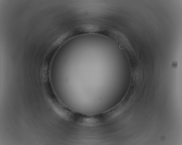 X0000093520360200710121549
