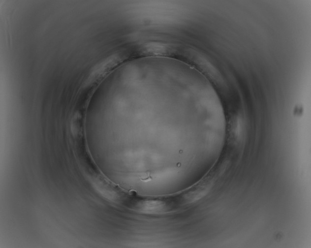 X0000093520361200710121549