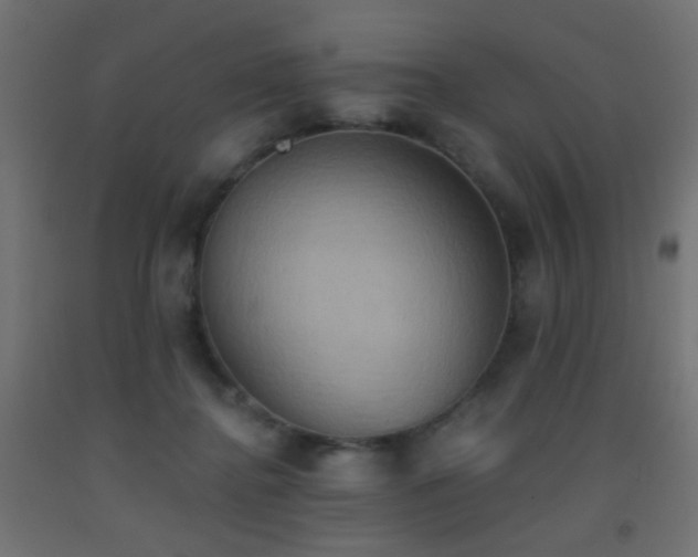 X0000093520364200710121549
