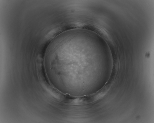 X0000093520366200710121549