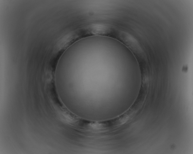 X0000093520367200710121549