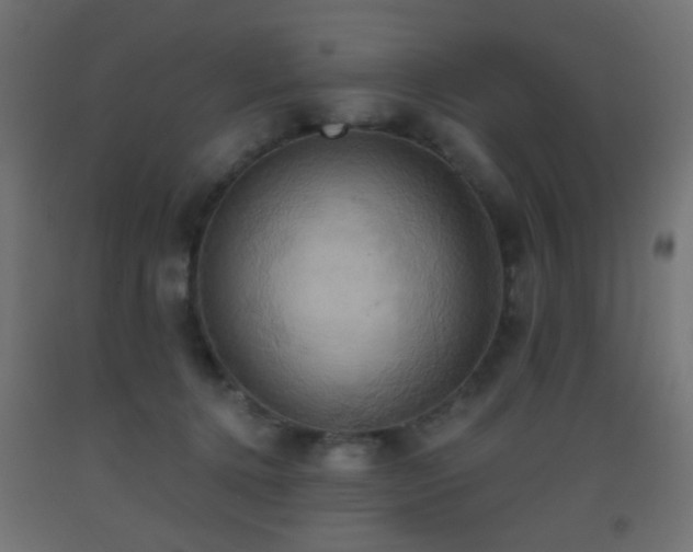 X0000093520368200710121549