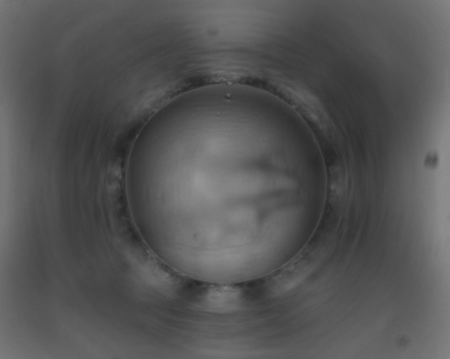 X0000093520369200710121549