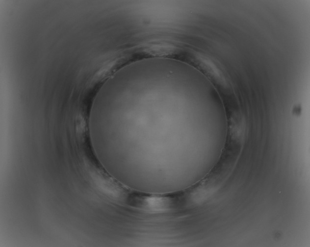 X0000093520371200710121549