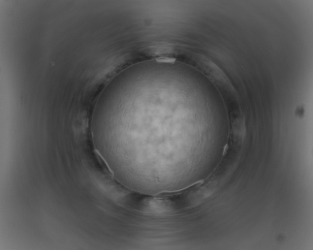 X0000093520372200710121549