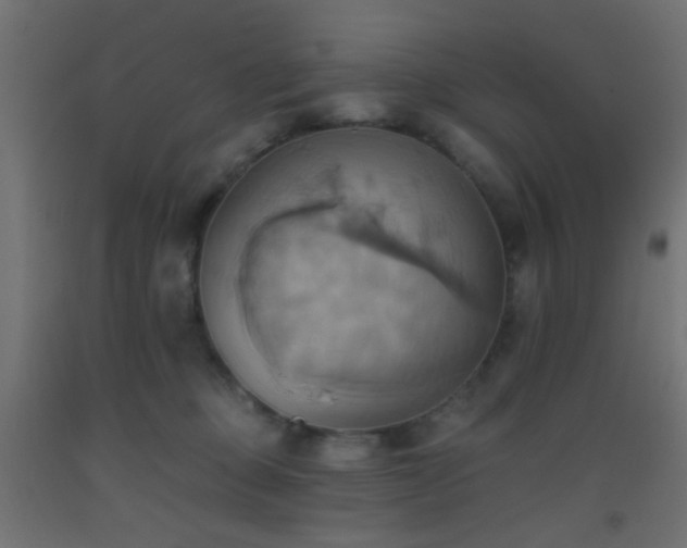 X0000093520373200710121549