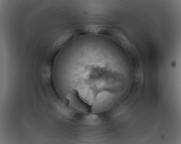 X0000093520374200710121549